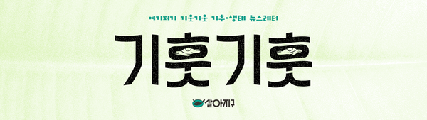 4월 3주차 기훗기훗