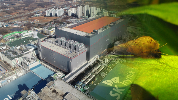 SK하이닉스 생태계 교란 죽당천, 국내 최초로 서양다슬기까지 발견