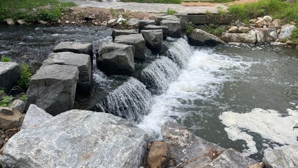 물고기 살길 막는 하천 구조물, 적어도 필요 없는 것 만큼은