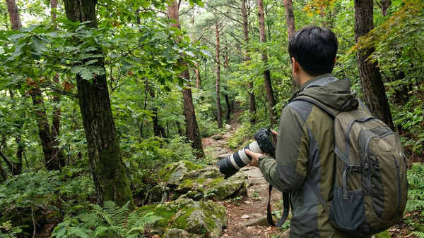 환경영향평가 부분 공탁제, 올해 하반기부터 시범사업