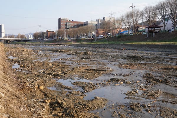 [변화] 하천 준설 "경미해서 괜찮다"던 대전광역시, 아닌 것 알았다